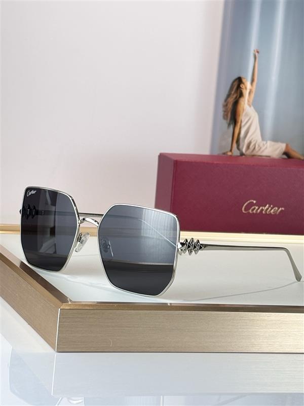 202643113418701 